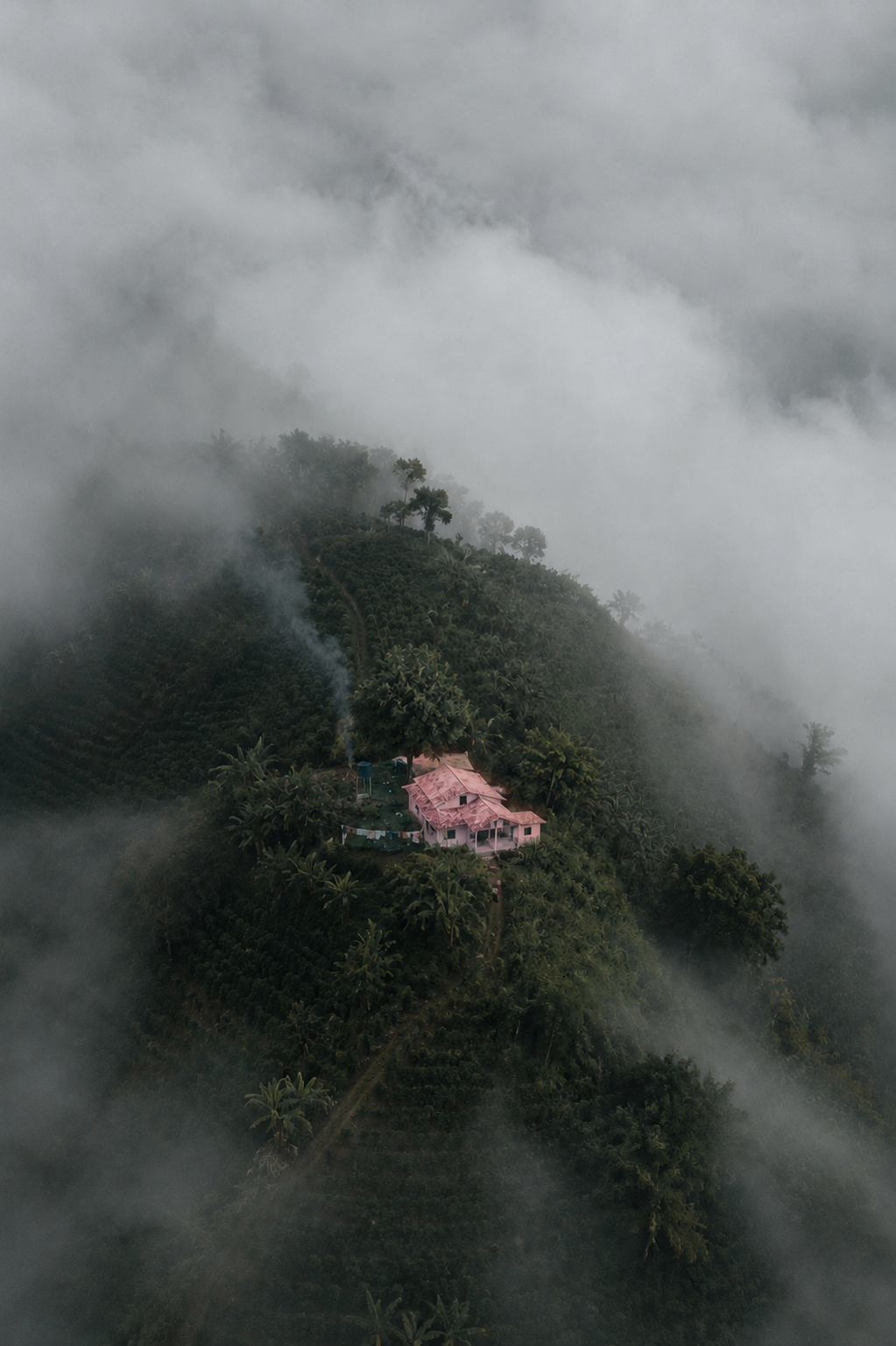 Paisaje Finca